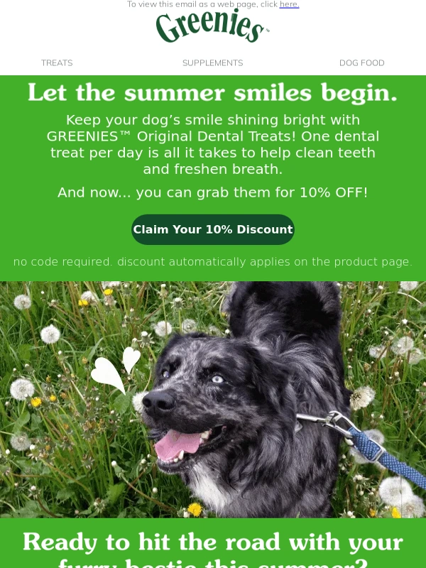 Greenies - Summer smiles,shining bright ✨