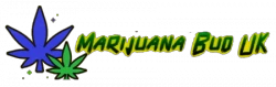 Marijuana Bud