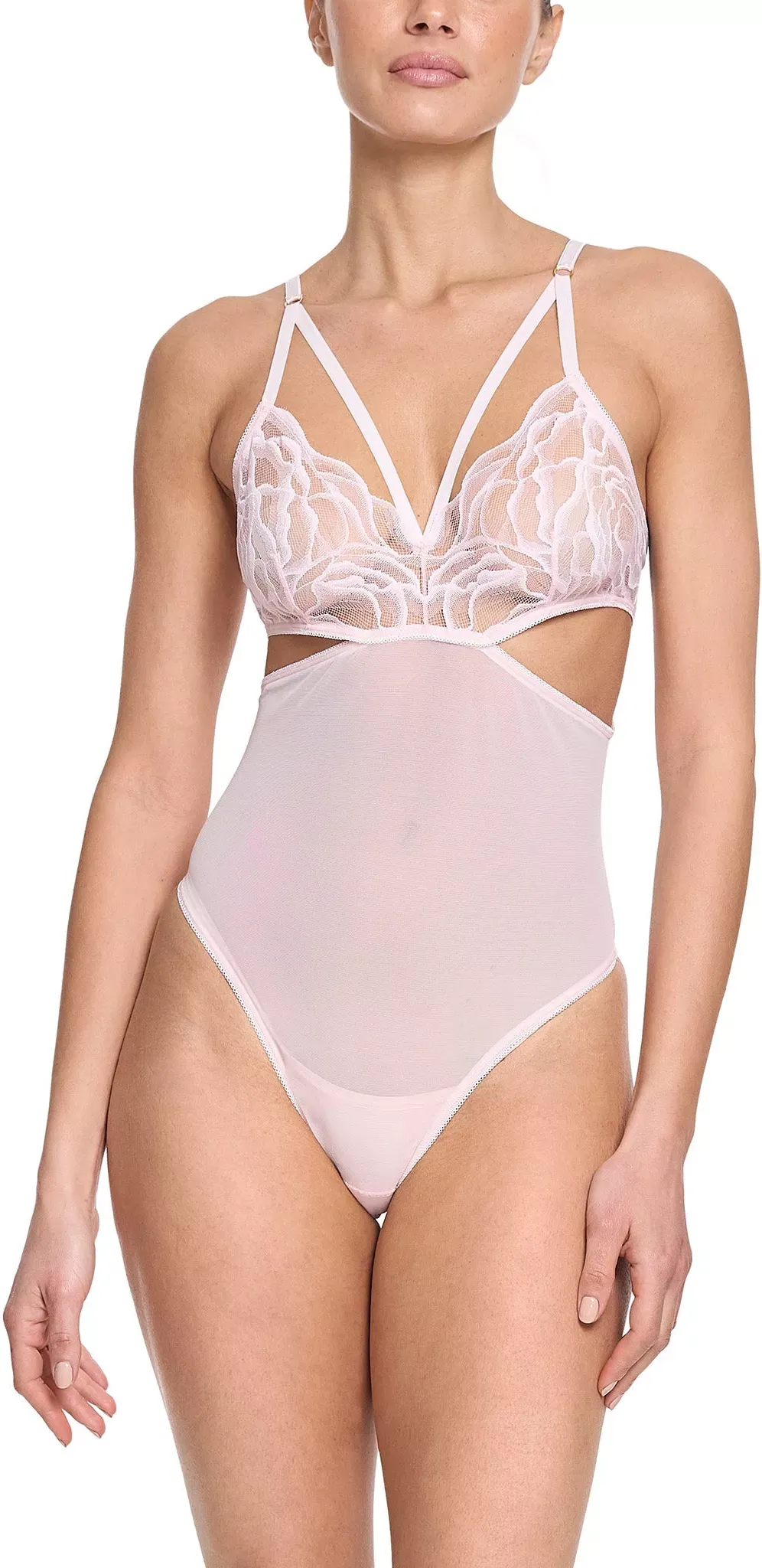 Hanky Panky Women's Silhouette Floral Cut Out Teddy - Vie En Rose,