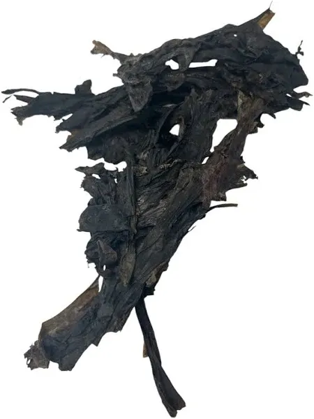Nori