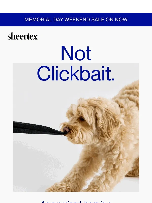 Sheertex - CLICK FOR A CUTE PICTURE OF A DOG