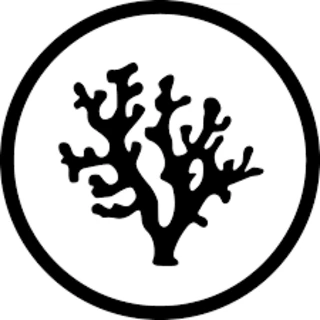 eBay Coupon