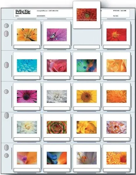 Print File 2x2-20B Slide Pages