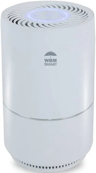WBM Smart Air Purifier