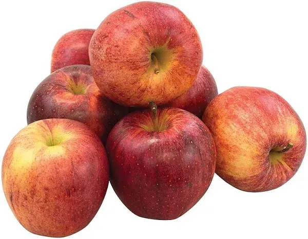 National Brand Fresh Gala Apples 8/Pack