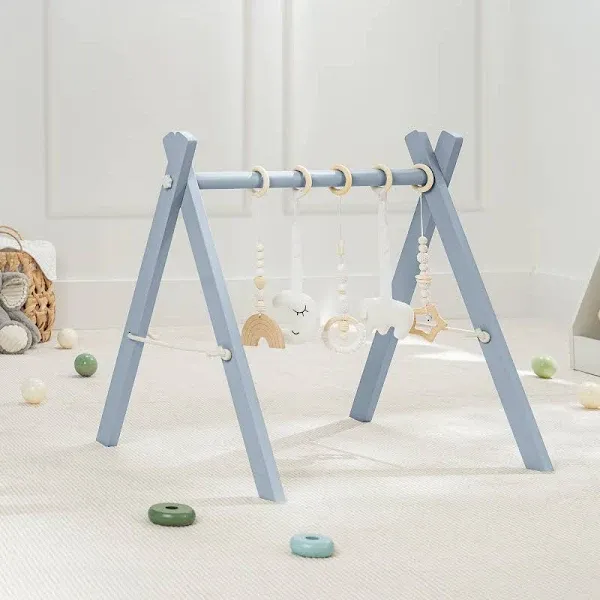 Comfy Cubs Baby Play Gym Set