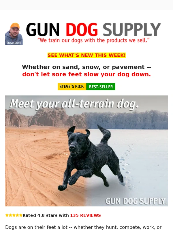 Gun Dog Supply - Sore feet slowing your dog down? ?