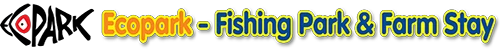eBay Coupon