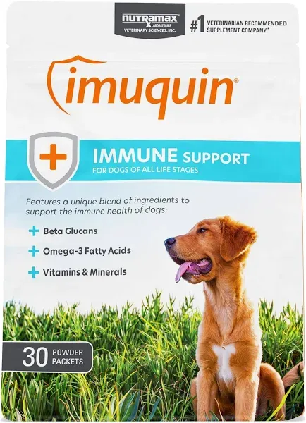 Imuquin for Dogs