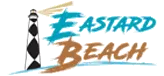 eBay Coupon