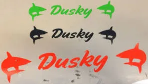 Dusky Sport Center