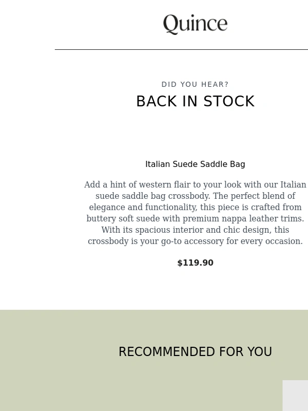 Quince - Italian Suede Saddle Bag is back in stock