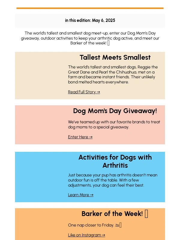 Big Barker - The Heartwarming Meet-Up of World’s Tallest & Smallest Dogs ?
