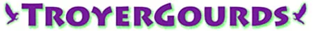 eBay Coupon