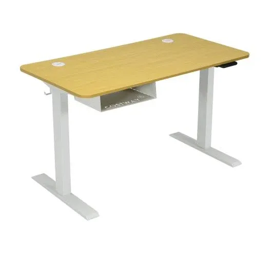 Costway 48'' Electric Standing Desk Height Adjustable w/ Control Panel & USB Port