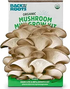 Back to the Roots Organic Mini Oyster Mushroom Grow Kit