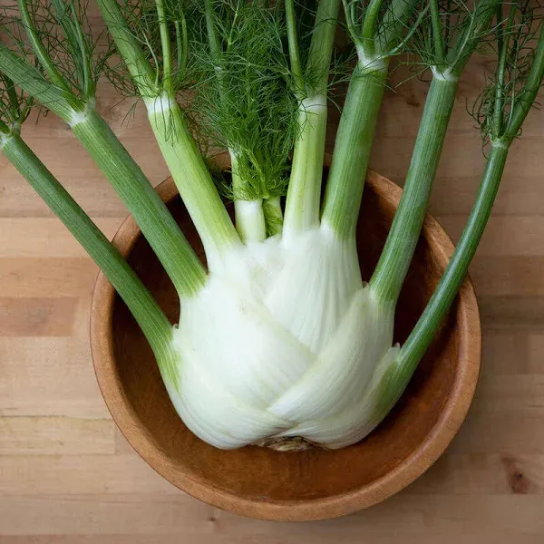 Fennel Dragon Hybrid Seeds