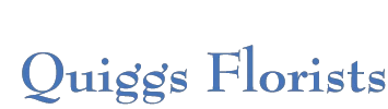 Quiggs Florist