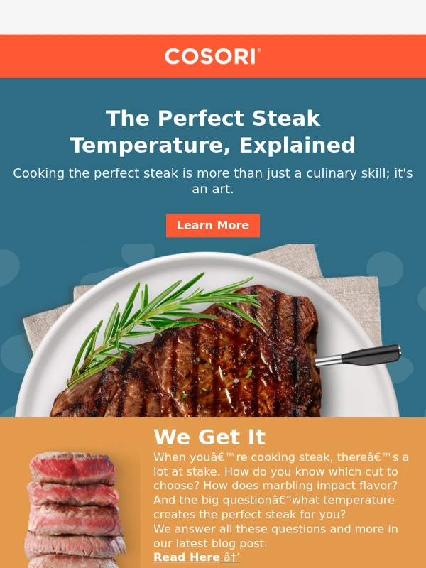 Cosori - Cooking Steak 101 ?