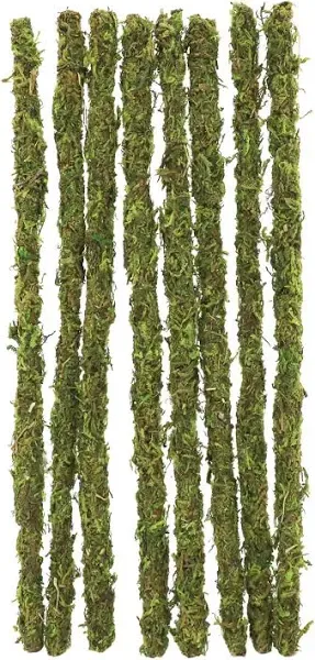 Ashland 9" Moss Crafting Stems