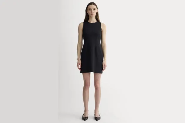 Everlane The Dream 90s Shift Dress