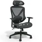 Staples Dexley Ergonomic Mesh Swivel Task Chair
