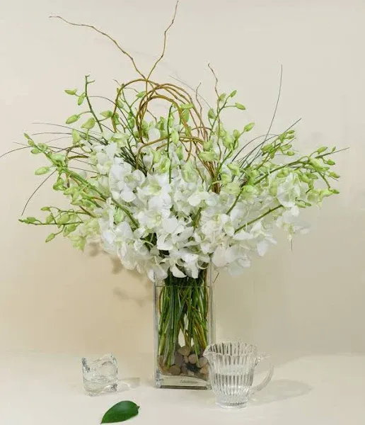 French Florist White Dendrobium Orchids Fresh Flower Delivery