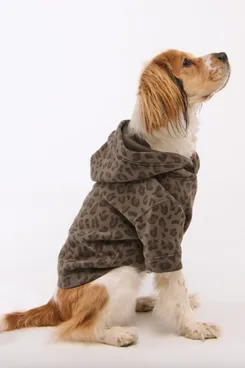 Abercrombie & Fitch The A&F Essential Pet Pupover