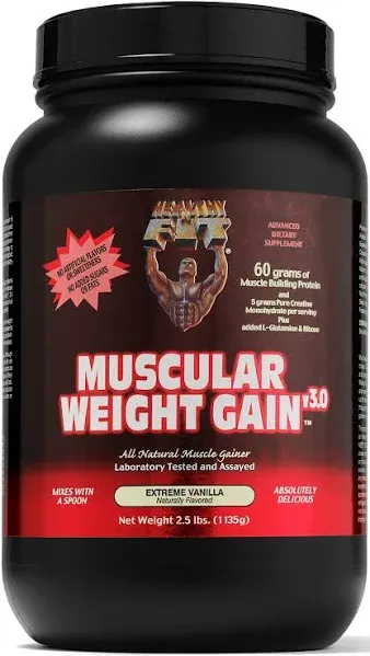 Healthy 'N Fit Muscular Weight Gain 2