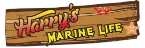 Harry's Marine Life