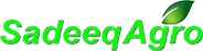 eBay Coupon