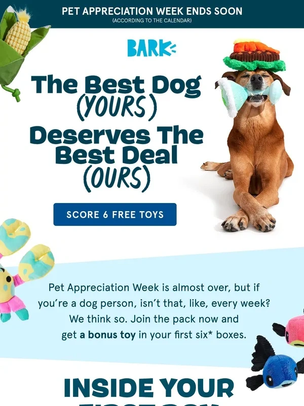 BarkBox - Ending soon... ? SIX ? FREE ? TOYS