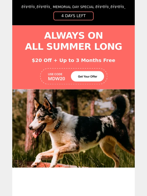 Fi - Fi’s Memorial Day Sale has arrived ??