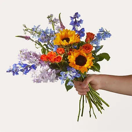 Proflowers The Full Nest Bouquet