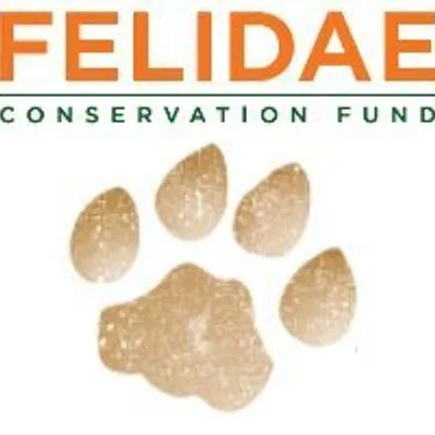 Felidae Conservation Fund