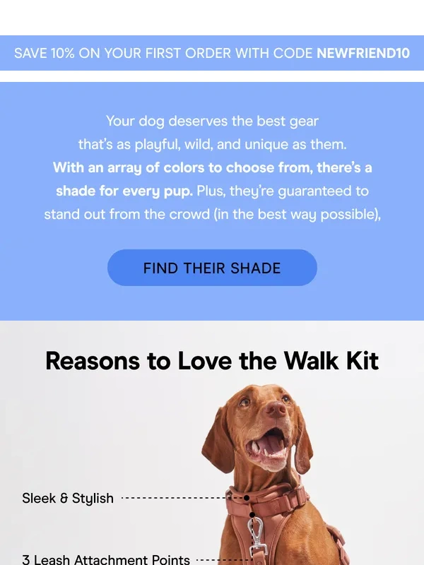 Wild One - Your Dog Should Stand Out?