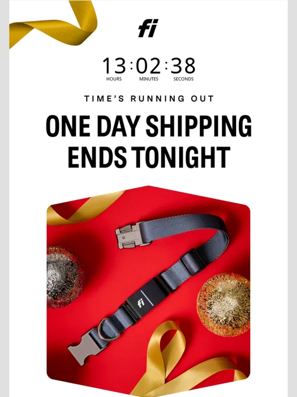 Fi - ⌛ 1-Day shipping ends tonight