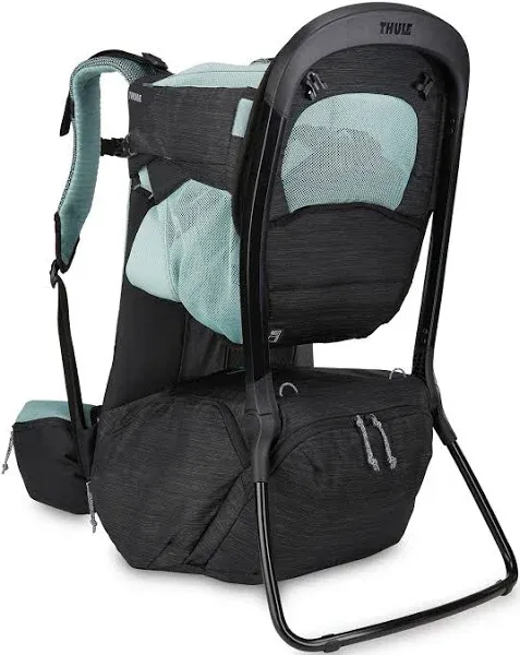 Thule Sapling Child Carrier