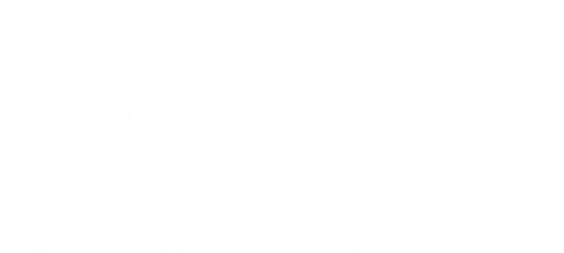 Brant Basics