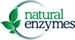 Natural Enzymes