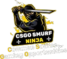 CSGOSmurfNinja