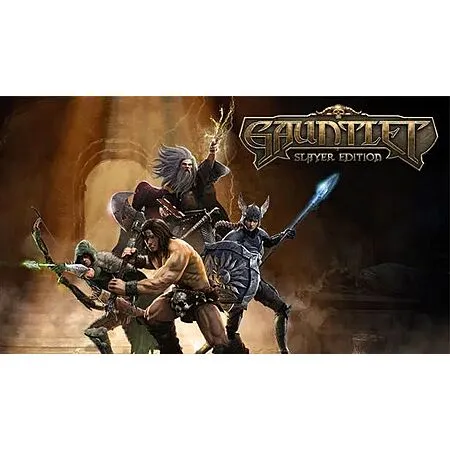 Gauntlet: Slayer Edition (PC Digital Download)