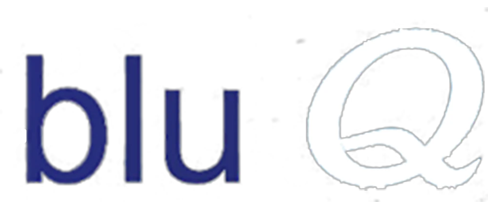 eBay Coupon