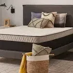 Essentials™ Spruce 5.5" Firm Mattress