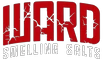 eBay Coupon