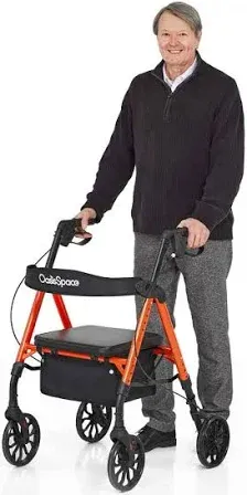OasisSpace Economy Rollator Walker