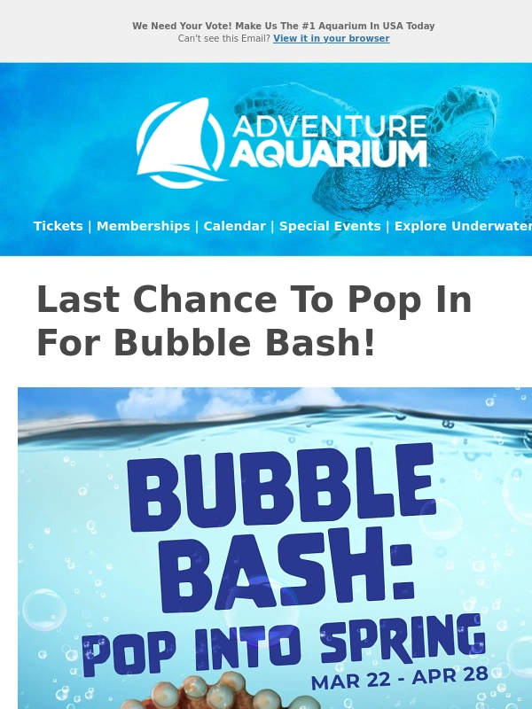 Adventure Aquarium - Dive into Bubble Bash Before It Floats Away!?