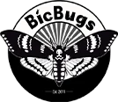 BicBugs