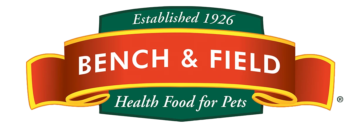 Bench & field
