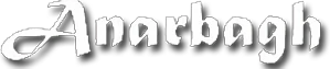 eBay Coupon